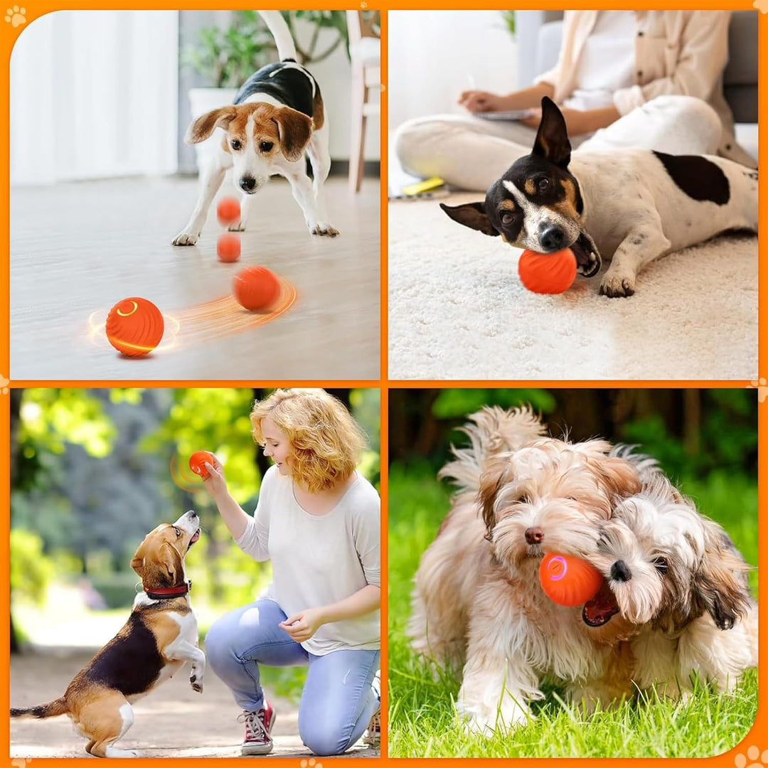 Bola Interactiva Inteligente Recargable (Perros y Gatos)