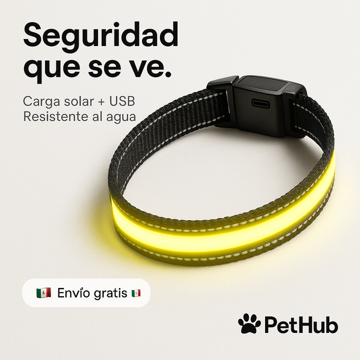Collar LED Recargable para Perros – Seguridad Nocturna con Estilo