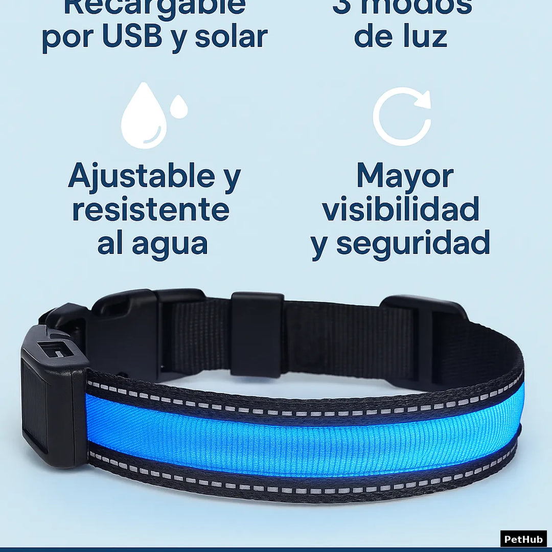 Collar LED Recargable para Perros – Seguridad Nocturna con Estilo