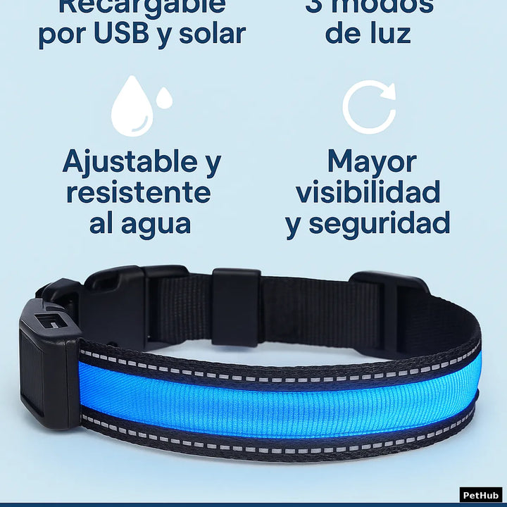 Collar LED Recargable para Perros – Seguridad Nocturna con Estilo
